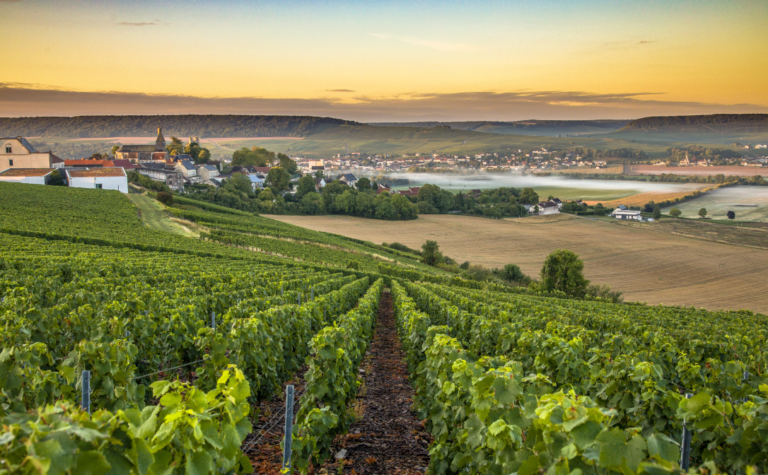 The Champagne region in France, with vineyards on a sloping hill in the foreground and a village in the background.
