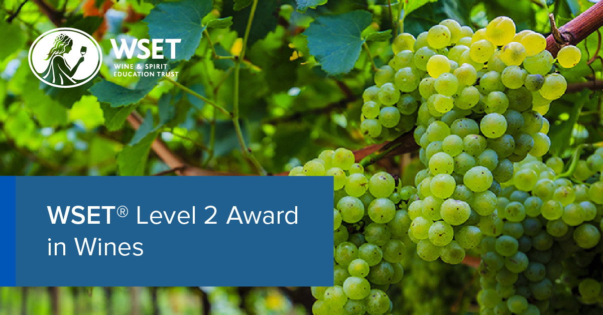 WSET Level 2 Award in Wines | Wine & Spirit Education Trust