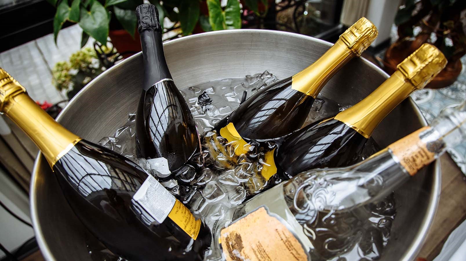 Champagne, Sparkling Wine & Prosecco