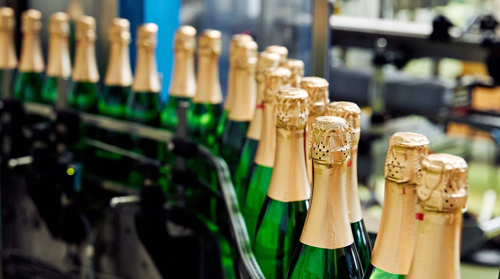 10 best sparkling wines and champagne for Christmas, Wine
