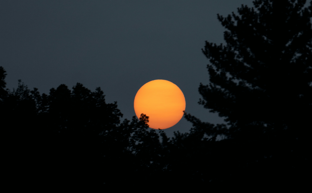 A full moon behind some trees