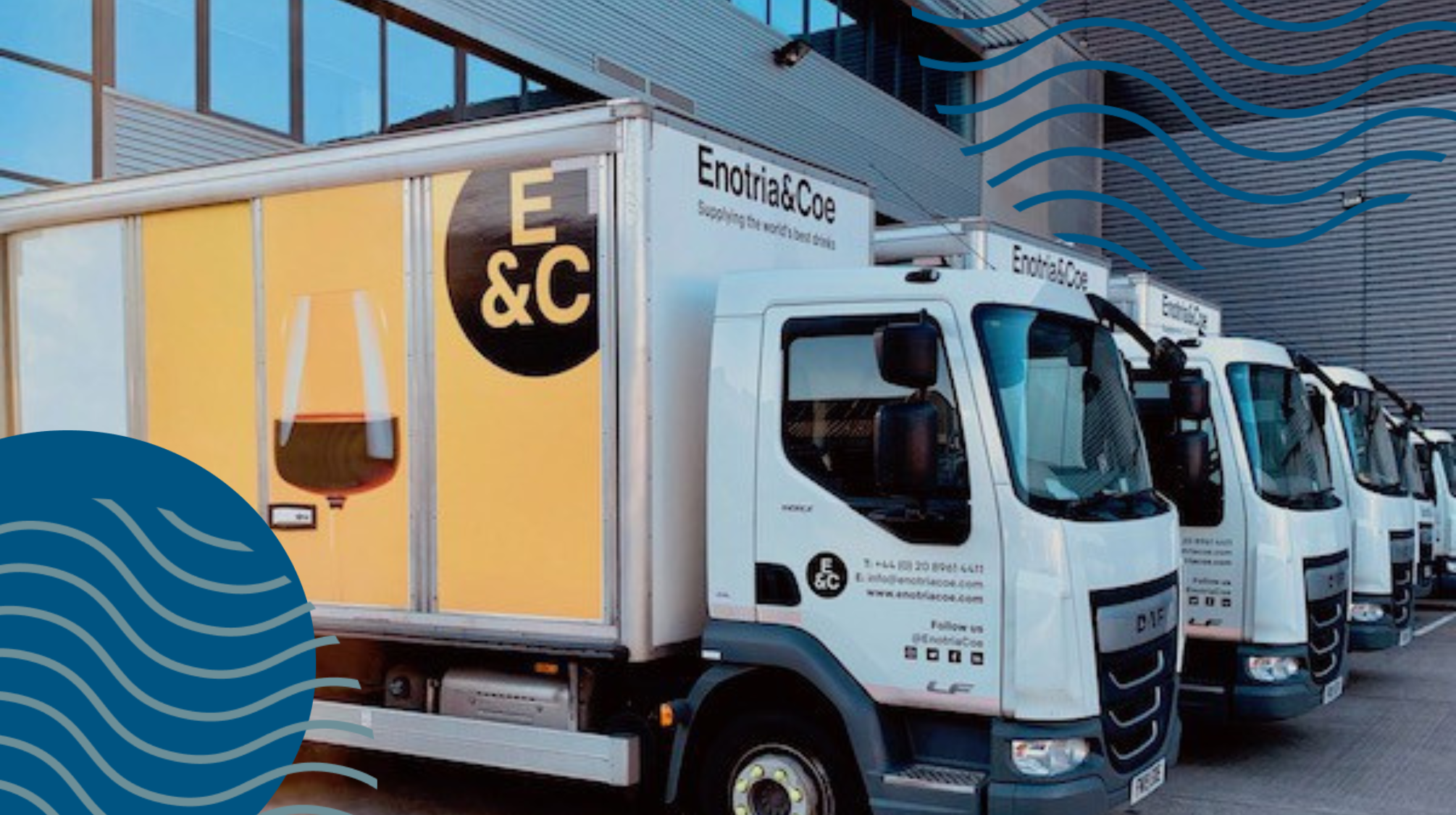 Enotria&coe vans