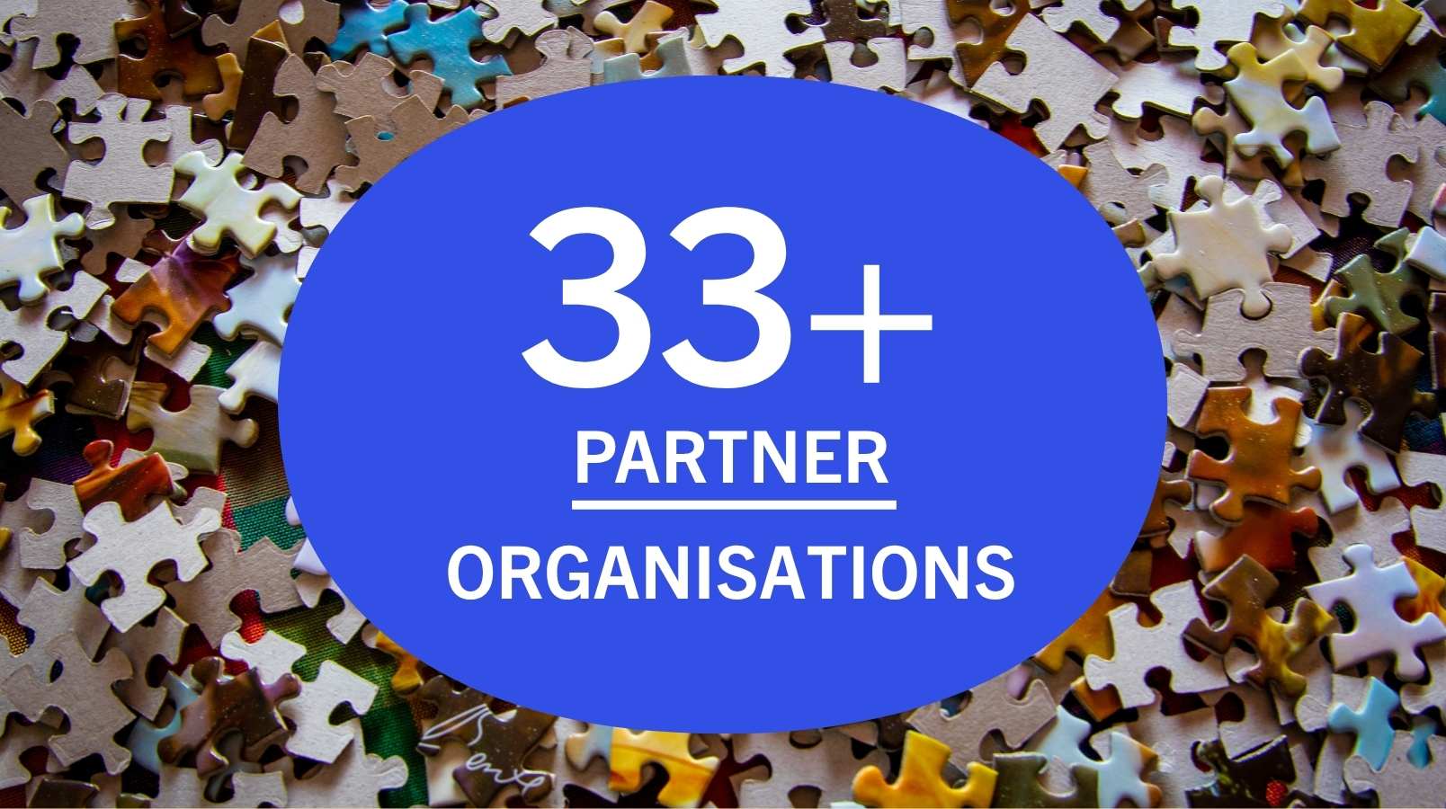 33+ partner organisations